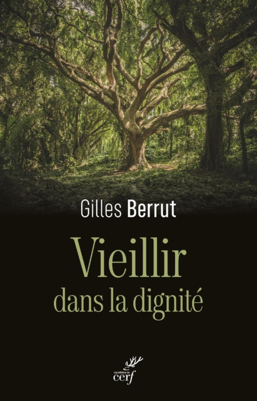 ebook cover of VIEILLIR DANS LA DIGNITE - L'EVIDENCE D'UN DEFI, by Gilles Berrut
