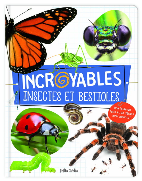 ebook cover of Incroyables insectes et bestioles, by Claire Chabot, Shutterstock