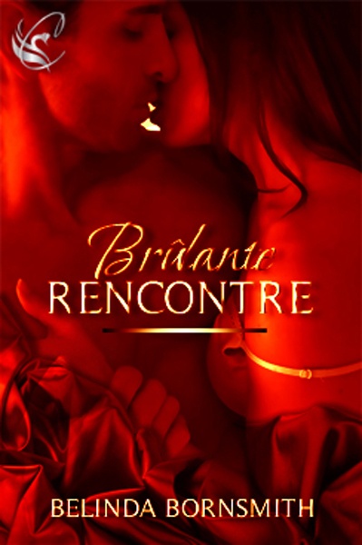 Couverture ebook de Brûlante rencontre, de Belinda Bornsmith