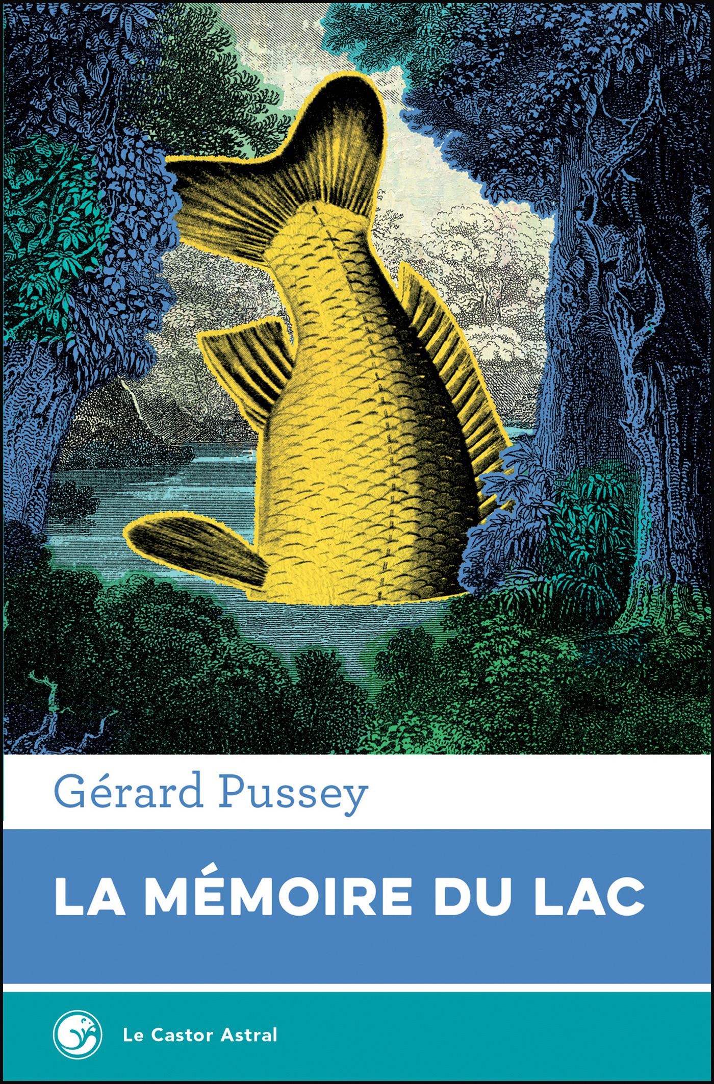 ebook cover of La Mémoire du lac, by Gérard Pussey