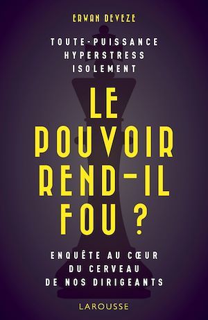 ebook cover of Le pouvoir rend-il fou ?, by Erwan Devèze