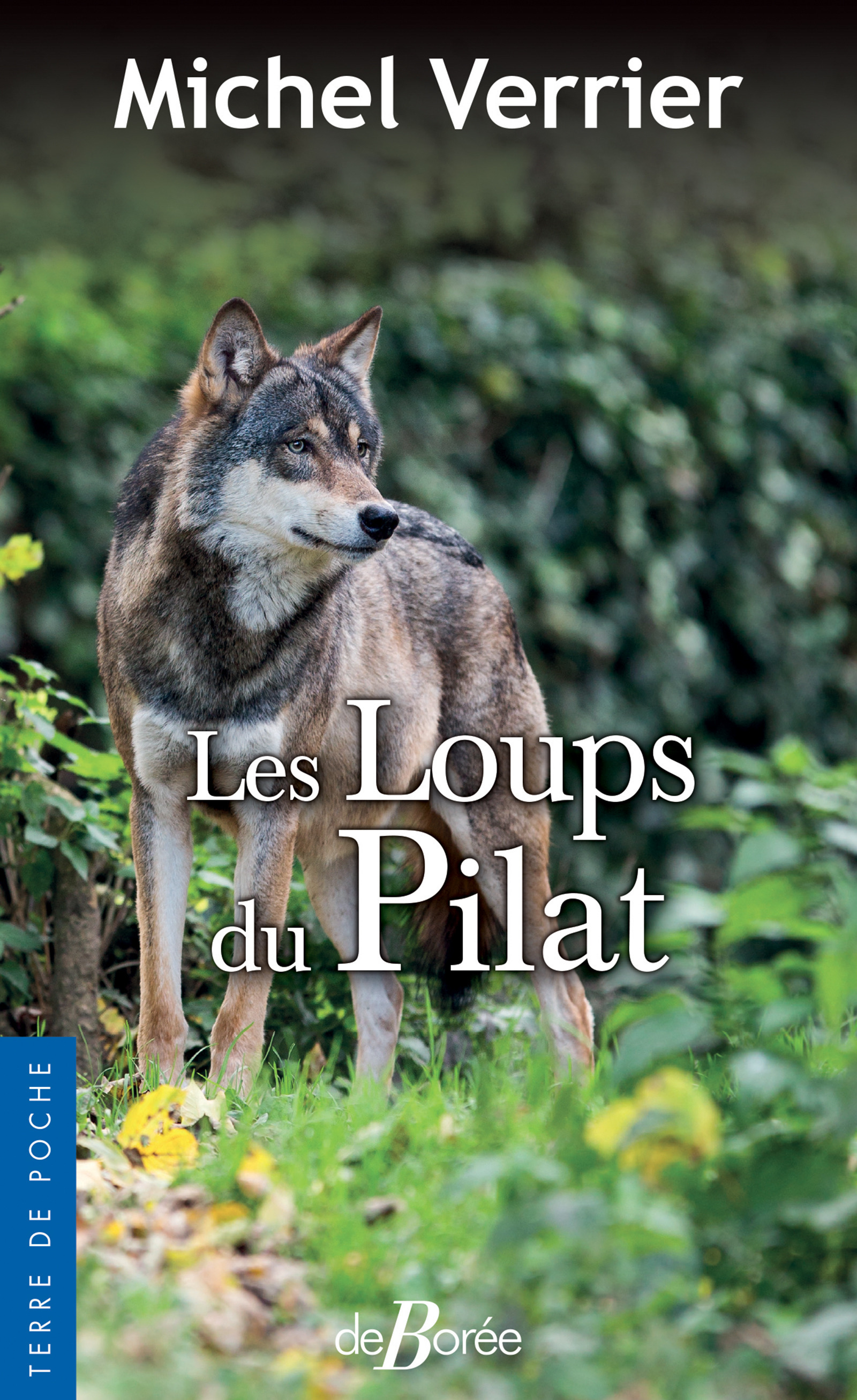 ebook cover of Les Loups du Pilat, by Michel Verrier