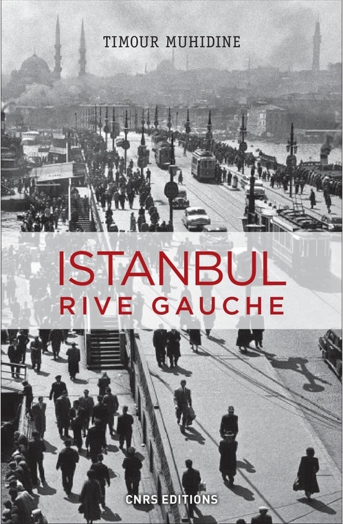 ebook cover of Istanbul rive gauche, by Timour Muhidine