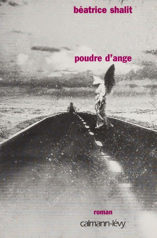 Couverture ebook de Poudre d'ange, de Béatrice Shalit
