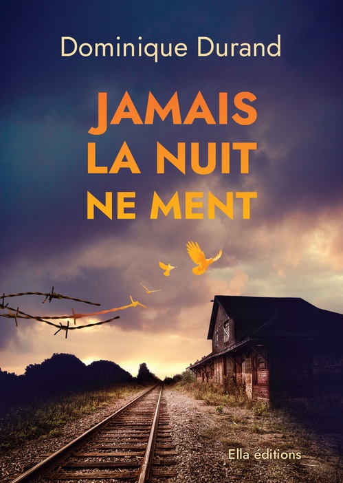 Couverture ebook de Jamais la nuit ne ment, de Dominique Durand