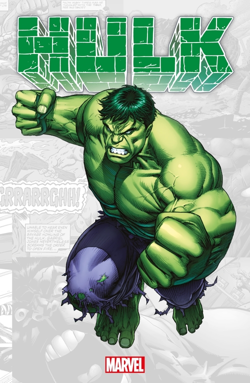 ebook cover of Marvel-Verse : Hulk, by Brian Michael Bendis, Collectif
