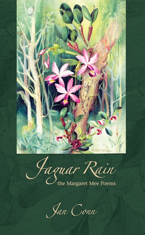 Couverture ebook de Jaguar Rain, de Jan Conn