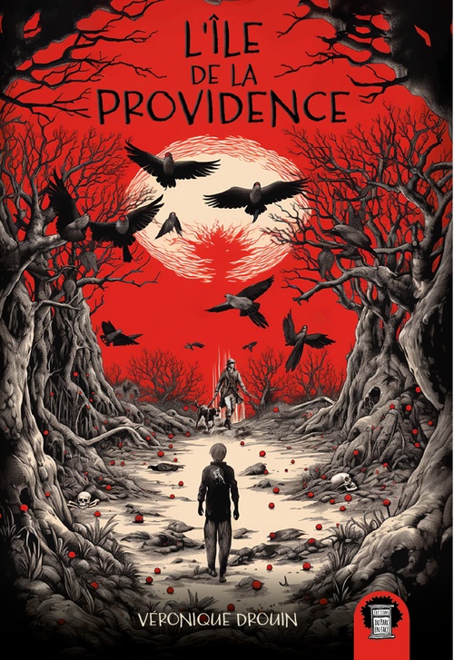 ebook cover of L´île de la Providence, by Véronique Drouin