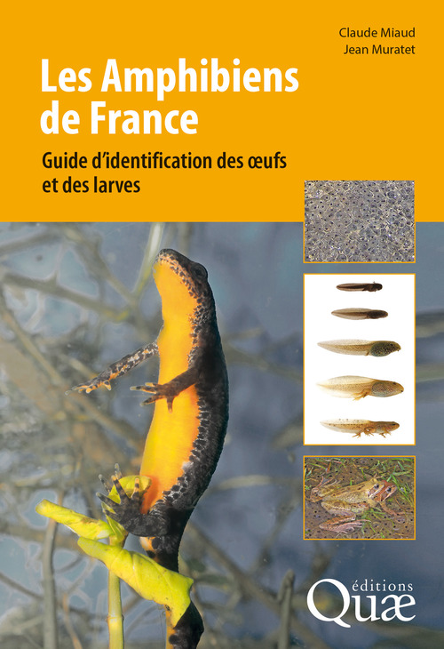 Couverture ebook de Les Amphibiens de France, de Miaud/Muratet