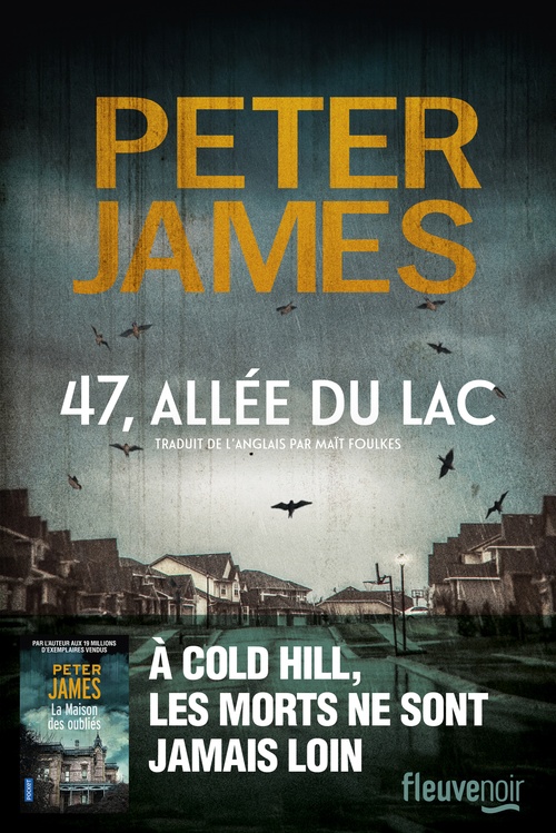 ebook cover of 47, allée du lac, by Peter James