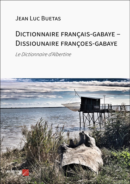 ebook cover of Dictionnaire français-gabaye - Dissiounaire françoes-gabaye, by Jean Luc Buetas