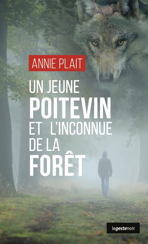 Couverture ebook de Un jeune poitevin et l´inconnue de la forêt, de Annie Plait