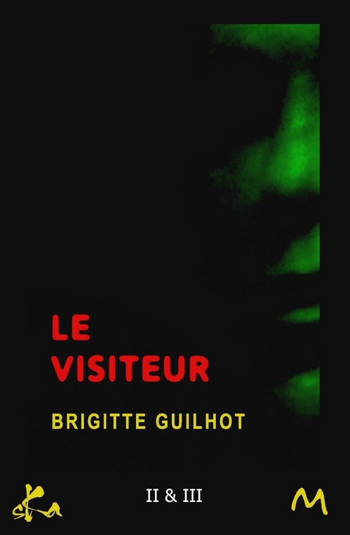 Couverture ebook de Le visiteur 2 & 3, de Brigitte Guilhot