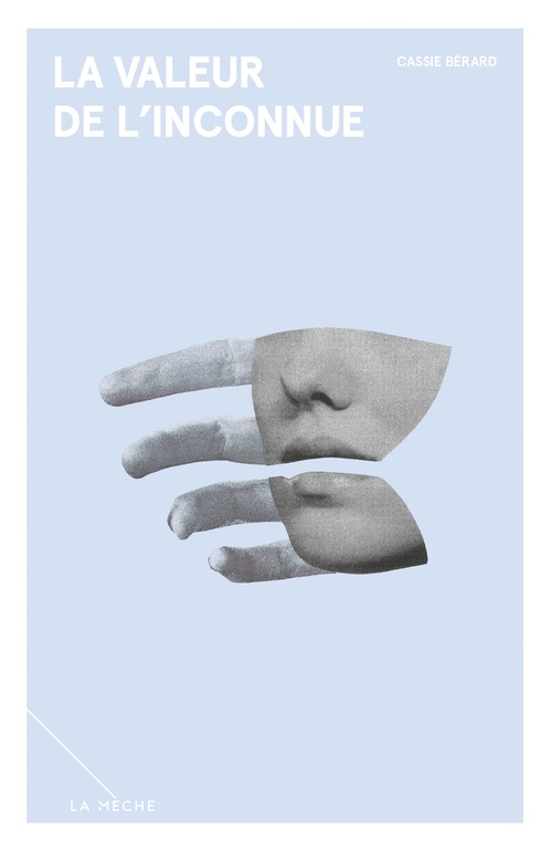 ebook cover of La valeur de l´inconnue, by Berard Cassie