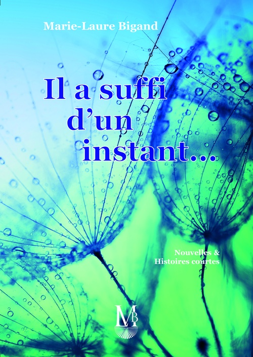 ebook cover of Il a suffi d'un instant, by Marie-Laure Bigand