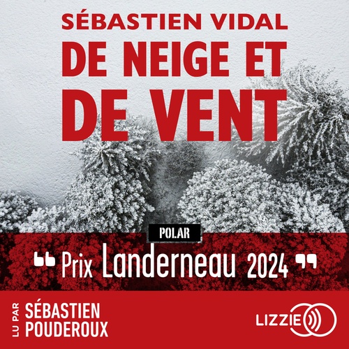audiobook cover of De neige et de vent, by Sébastien Vidal
