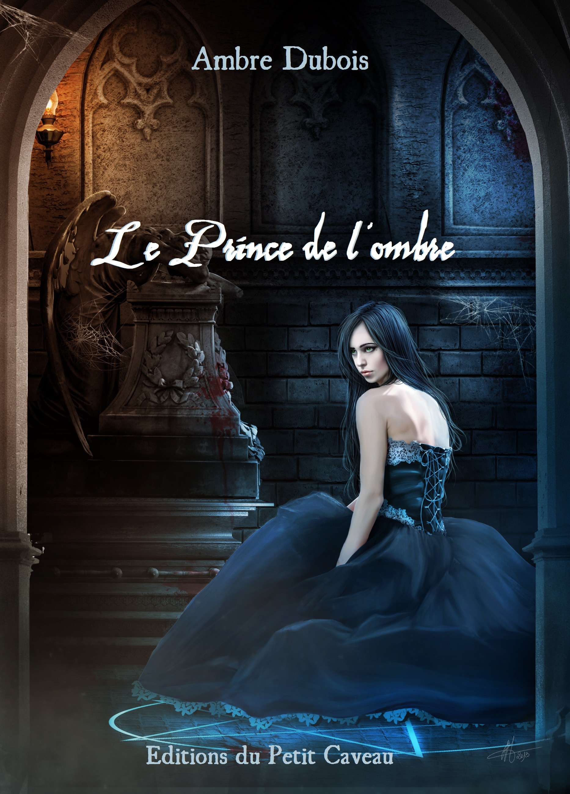 Couverture ebook de Le Prince de l'ombre, de Ambre Dubois