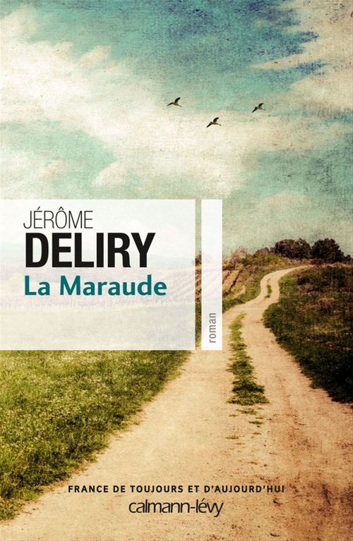ebook cover of La Maraude, by Jérôme Deliry