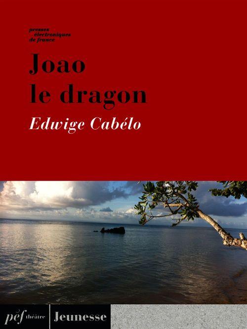 ebook cover of Joao le dragon, by Edwige Cabelo