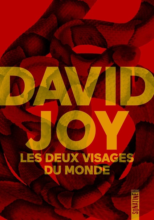 ebook cover of Les Deux Visages du monde, by David Joy
