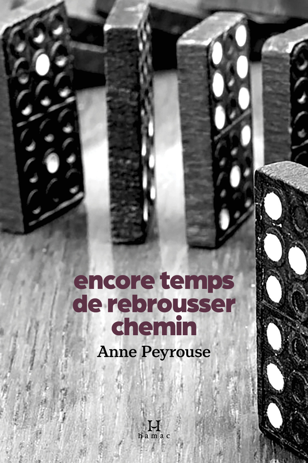 ebook cover of Encore temps de rebrousser chemin, by Anne Peyrouse