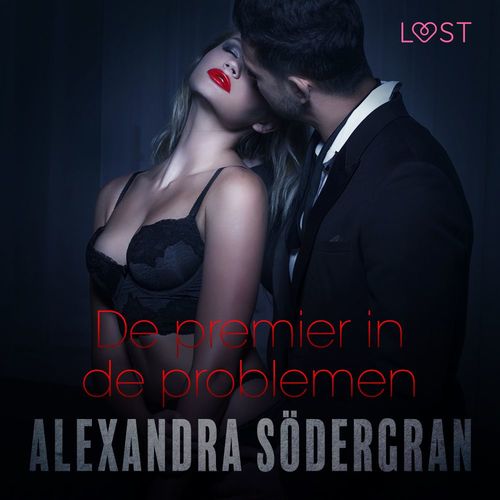 audiobook cover of De premier in de problemen - erotisch verhaal, by Alexandra Sodergran