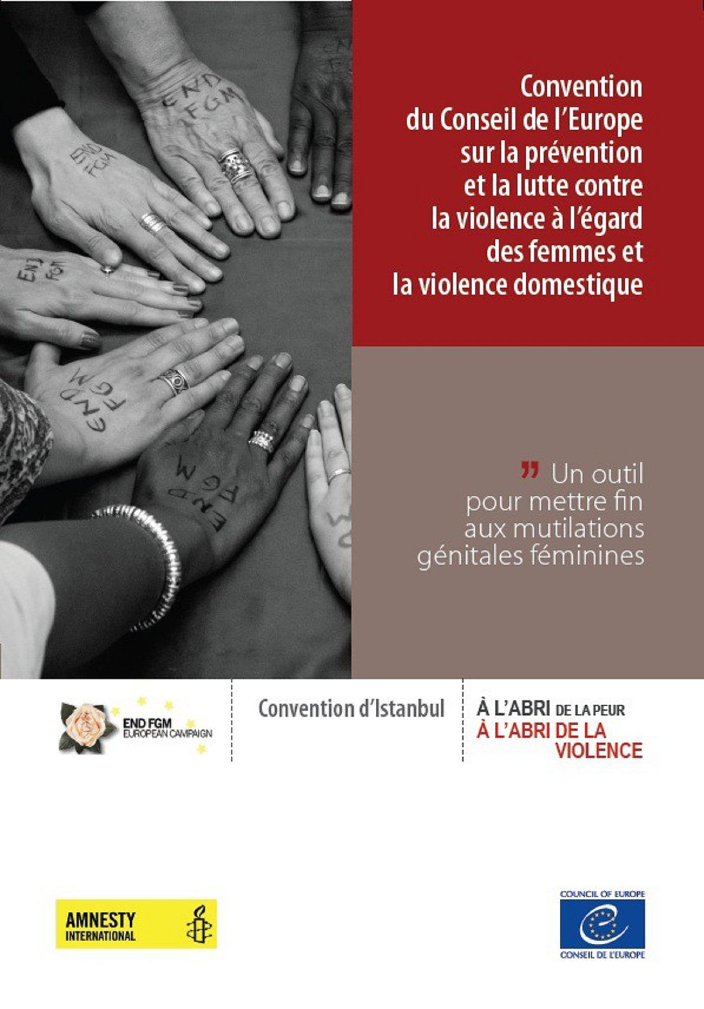 Couverture ebook de Convention du Conseil de l´Europe sur la prévention et la lutte contre la violence à l´égard des femmes et la violence domestique - Un outil pour mettre fin aux mutilations génitales féminines, de Collectif
