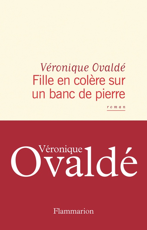 ebook cover of Fille en colère sur un banc de pierre, by Véronique Ovaldé