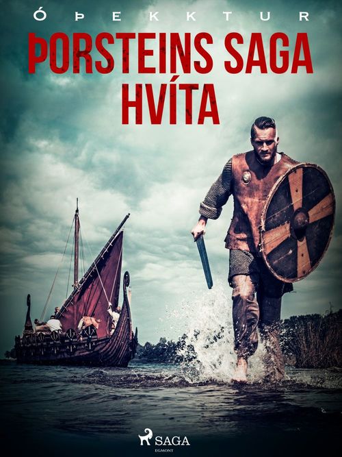 ebook cover of Þorsteins saga hvíta , by - OþEkktur