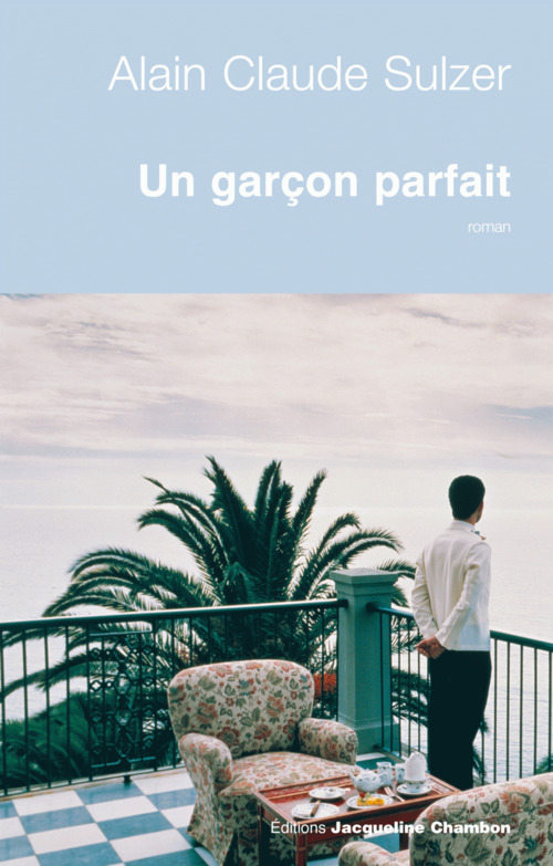 Couverture ebook de Un garçon parfait, de Alain claude Sulzer, Johannes Honigmann