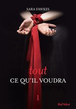 ebook cover of Tout ce qu'il voudra 1, by Sara Fawkes