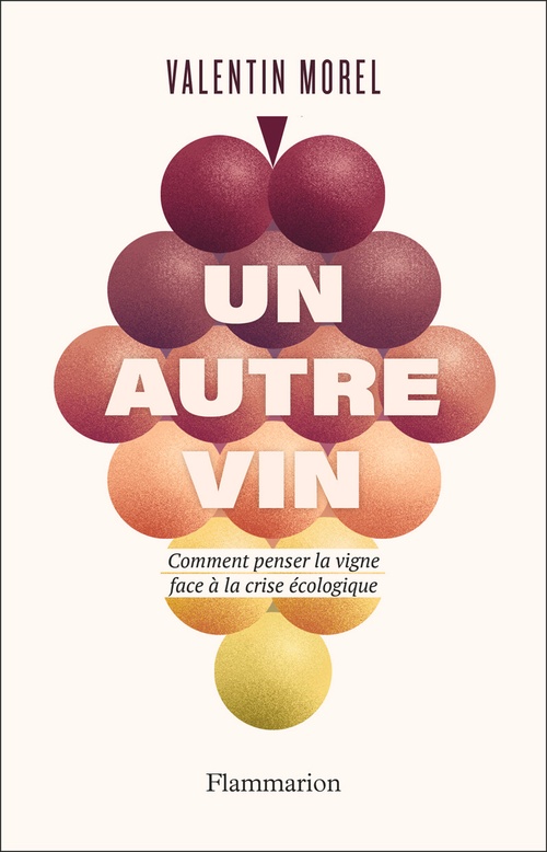 Couverture ebook de Un autre vin, de Valentin Morel