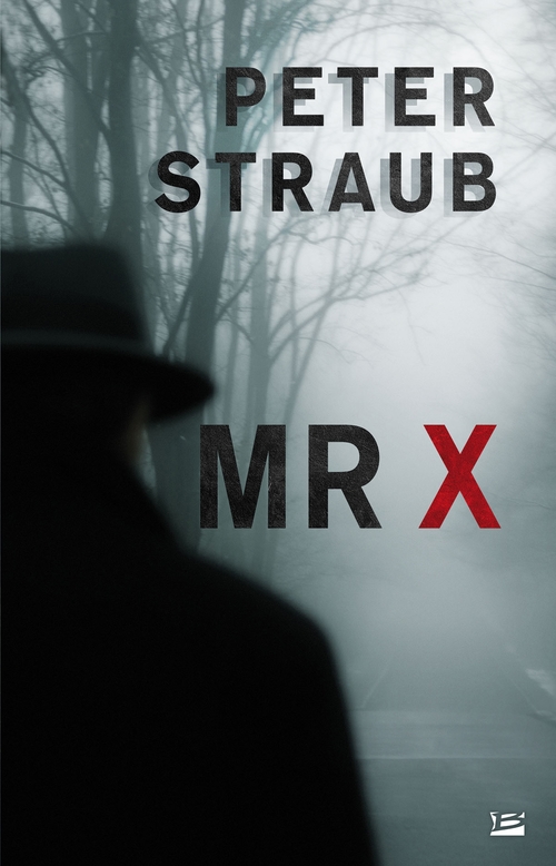 ebook cover of Mr X, by Peter Straub