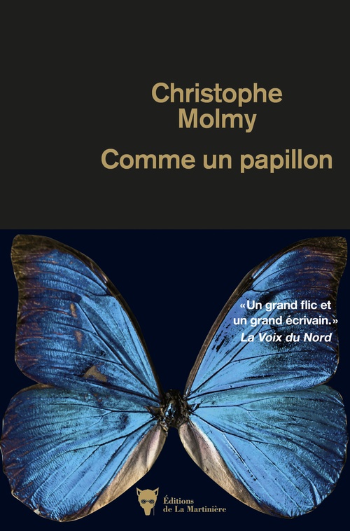 ebook cover of Comme un papillon, by Christophe Molmy