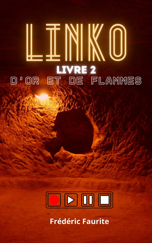 ebook cover of Linko - Livre 2, by Frederic Faurite