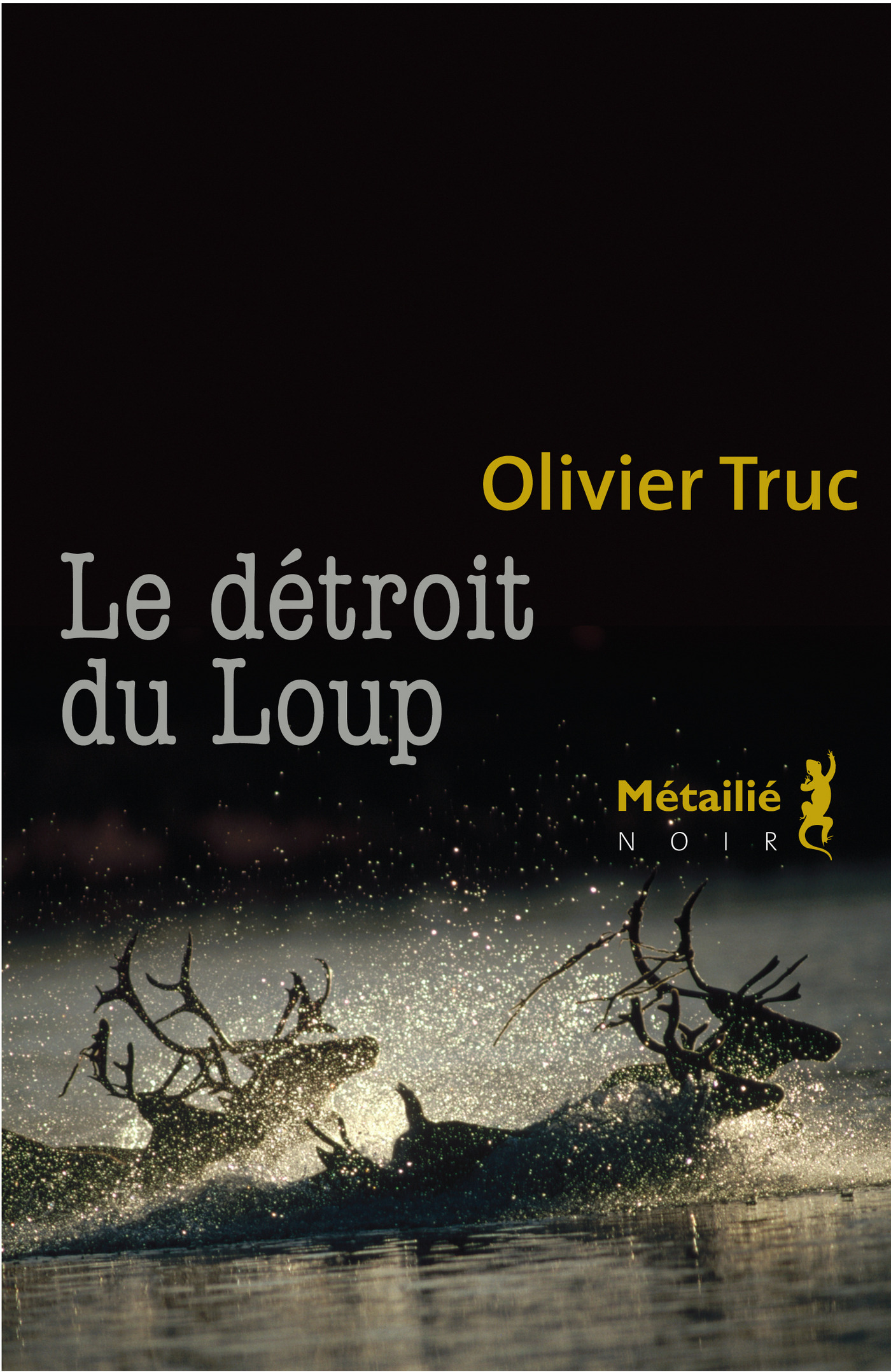 ebook cover of Le détroit du Loup, by Olivier Truc