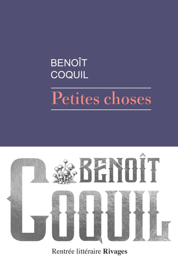 ebook cover of Petites choses, by Benoît Coquil