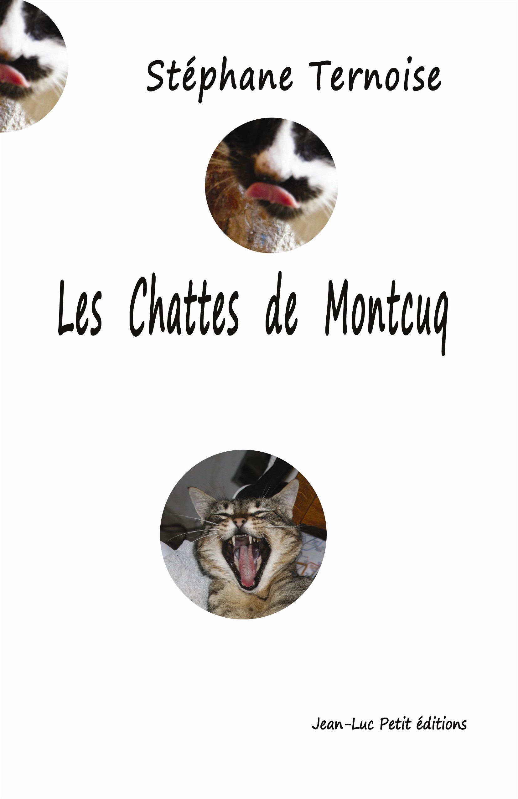 ebook cover of Les chattes de Montcuq, by Stephane Ternoise