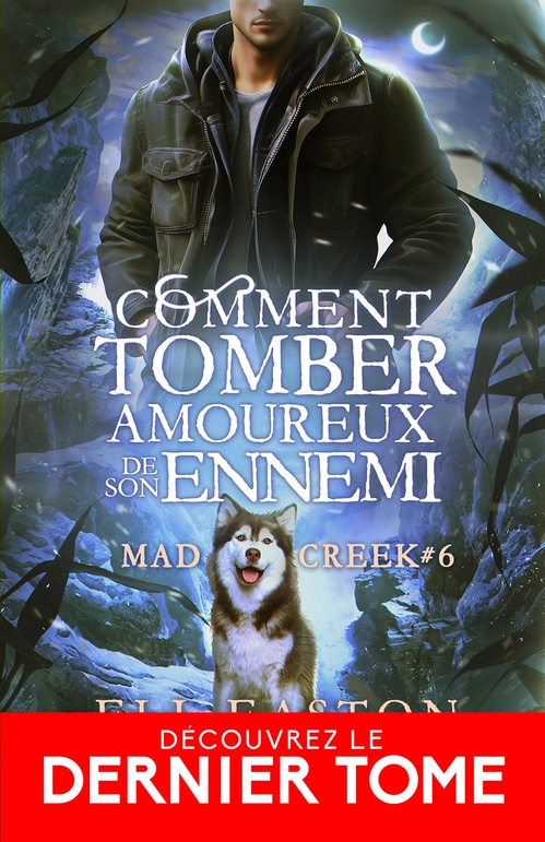 Couverture ebook de Comment tomber amoureux de son ennemi, de Eli Easton