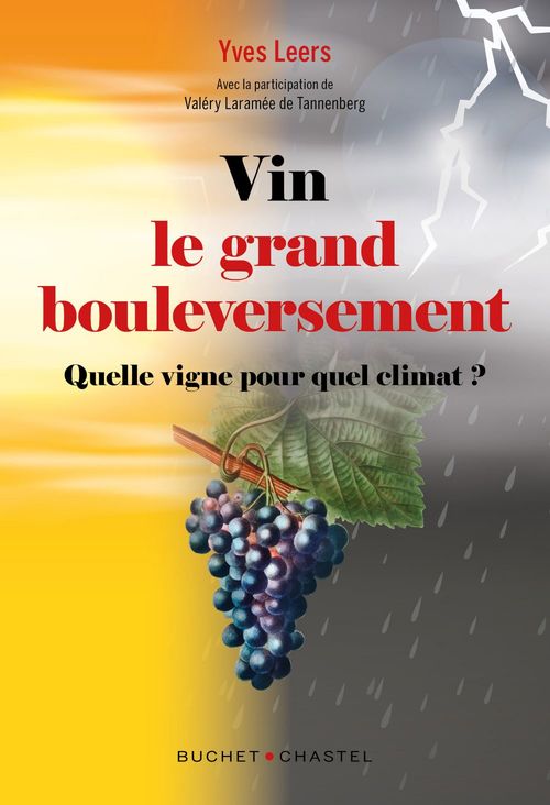Couverture ebook de Vin : Le grand bouleversement, de Yves Leers