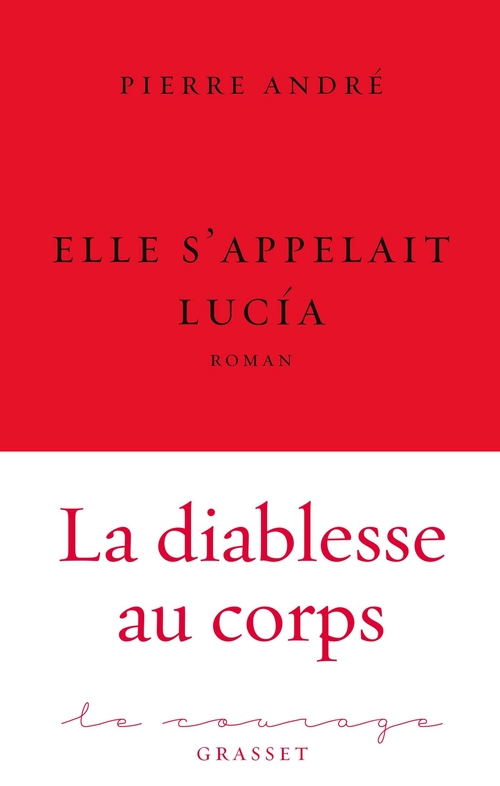 ebook cover of Elle s'appelait Lucía, by Pierre André