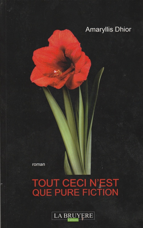 Couverture ebook de Tout ceci n'est que pure fiction, de Florence Raison Le Parc