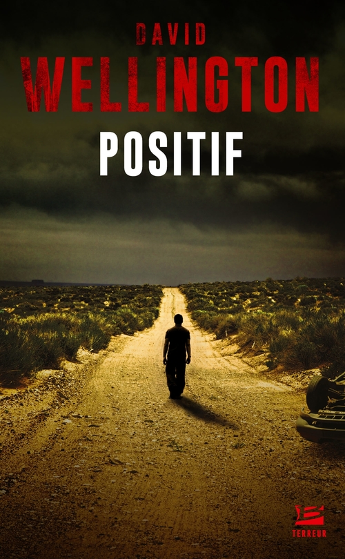 ebook cover of Positif, by David Wellington