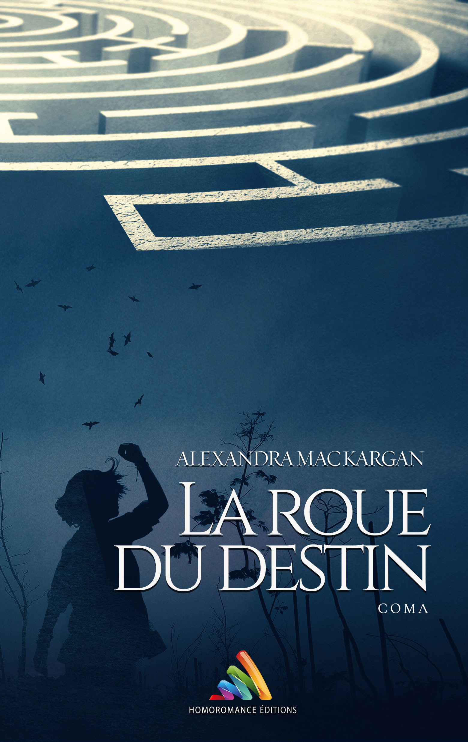 Couverture ebook de La roue du destin : Coma | Roman lesbien, livre lesbien, de Alexandra Mac Kargan