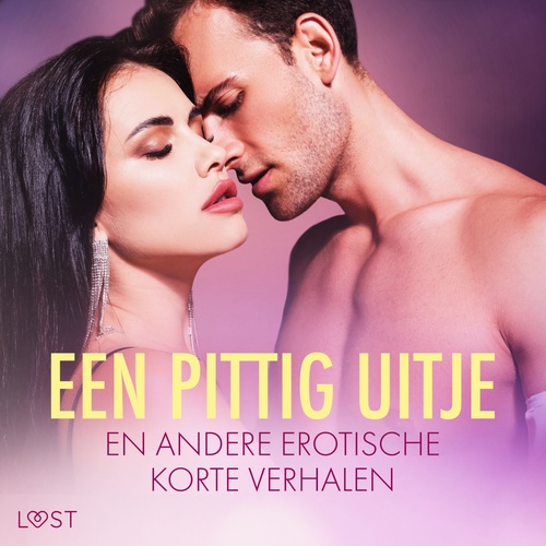 Couverture audiobook de Een pittig uitje en andere erotische korte verhalen, de Alicia Luz, B. J. Hermansson, Camille Bech, Elise Storm, Fabien Dumaitre, Malin Edholm