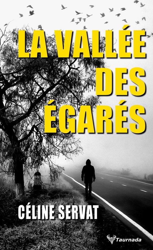 ebook cover of La Vallée des égarés, by Céline Servat