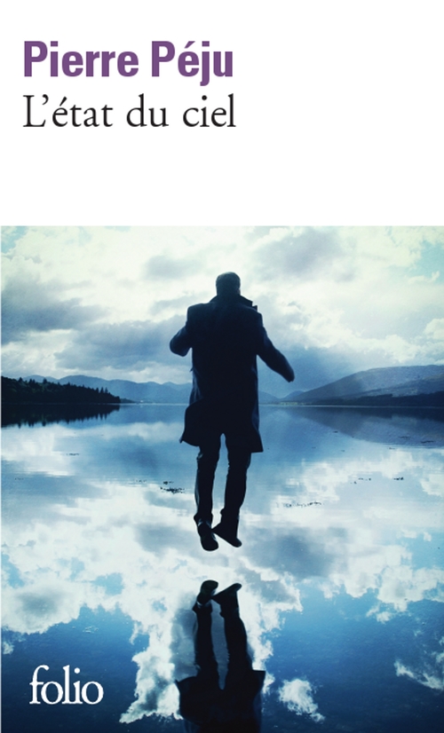 ebook cover of L'état du ciel, by Pierre Péju