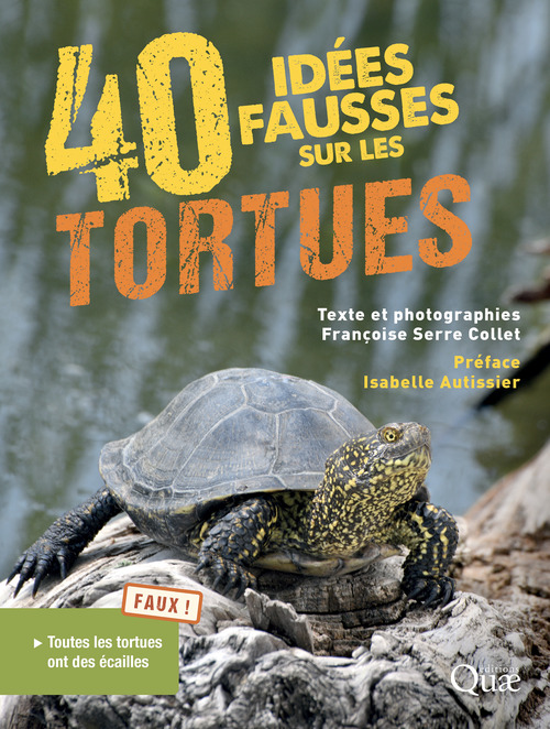Couverture ebook de 40 idées fausses sur les tortues, de Françoise Serre-Collet
