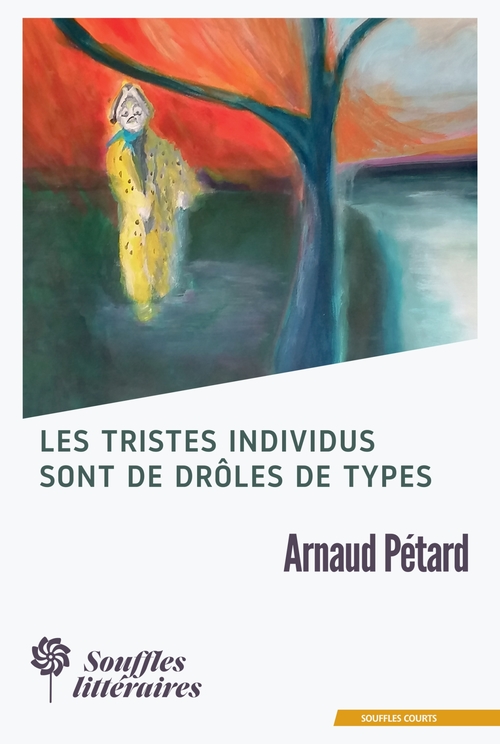 ebook cover of Les tristes individus sont de drôles de types, by Arnaud Pétard