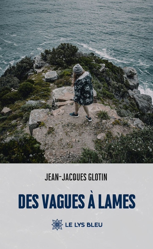 ebook cover of Des vagues à lames, by Jean-jacques Glotin